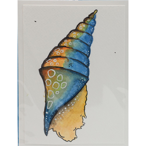 Muschel Aquarell